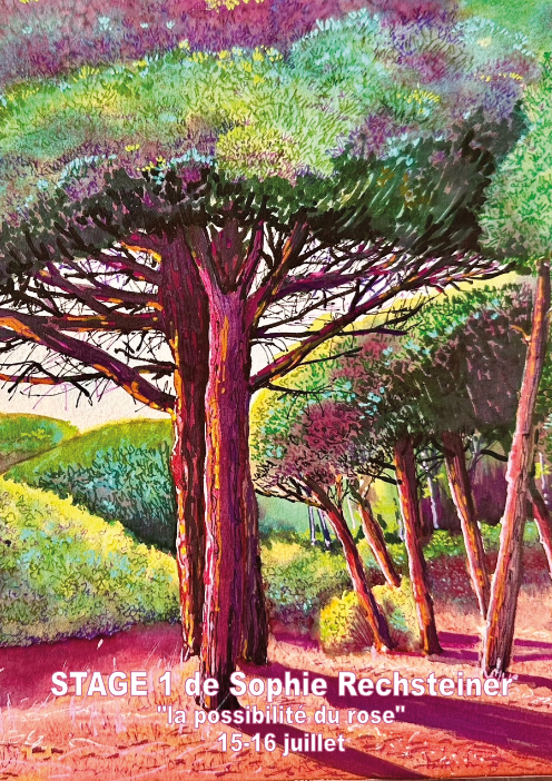 visuel stage 1 de Sophie Rechsteiner
