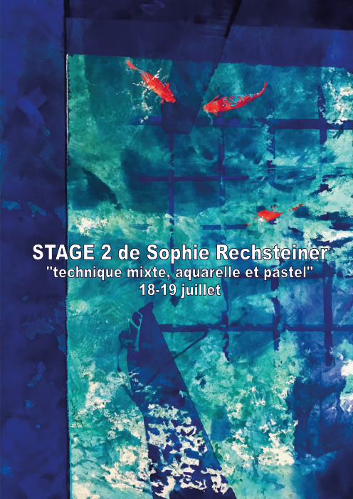 visuel stage 2 de Sophie Rechsteiner